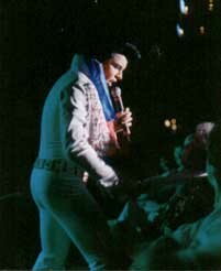 Elvis Live!
